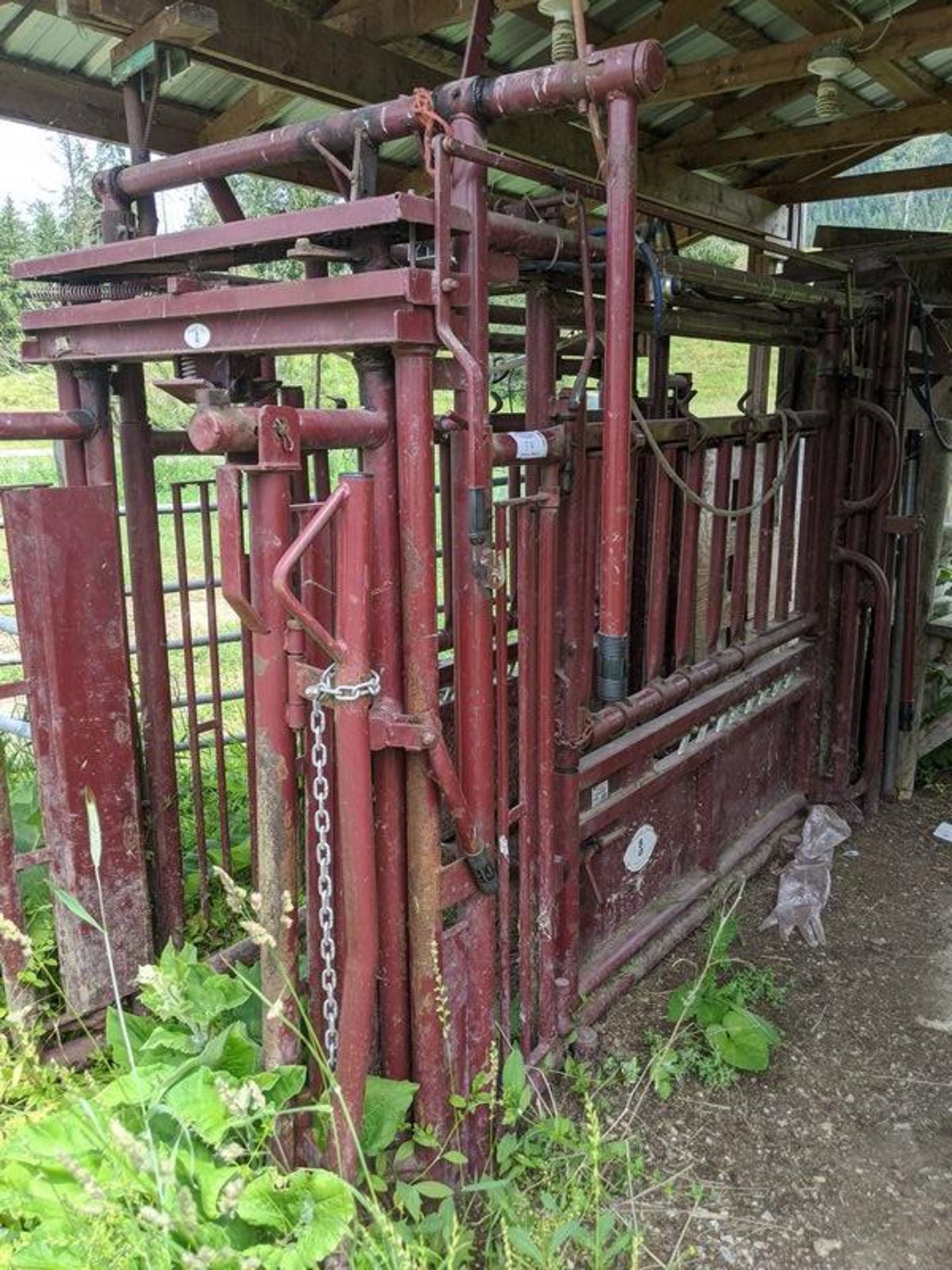 Stampede Steel Cattle Squeeze