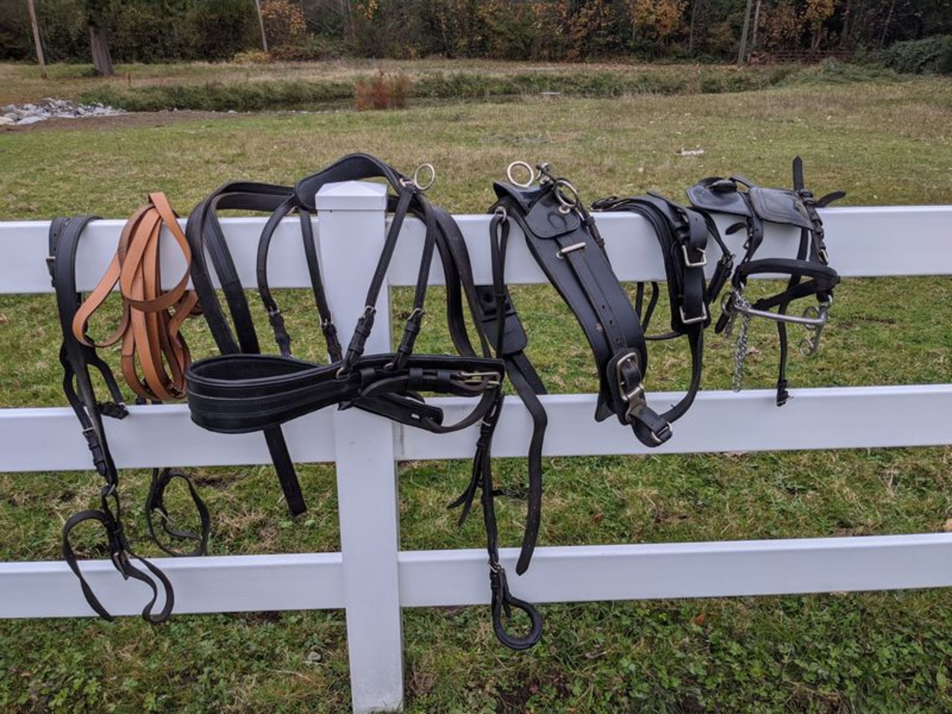 Complete Single Horse Harness