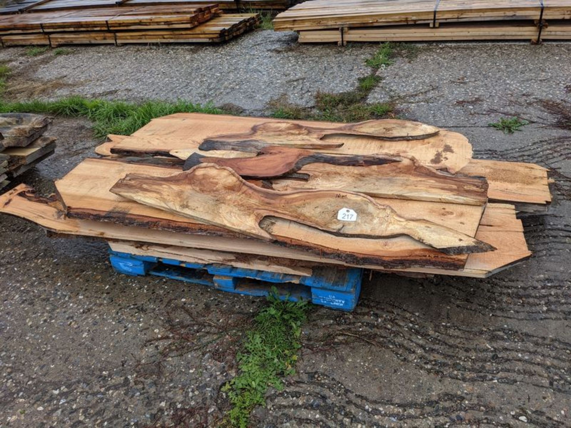 16 Pieces of 2" Thich Live Edge Wood, Varying Sizes