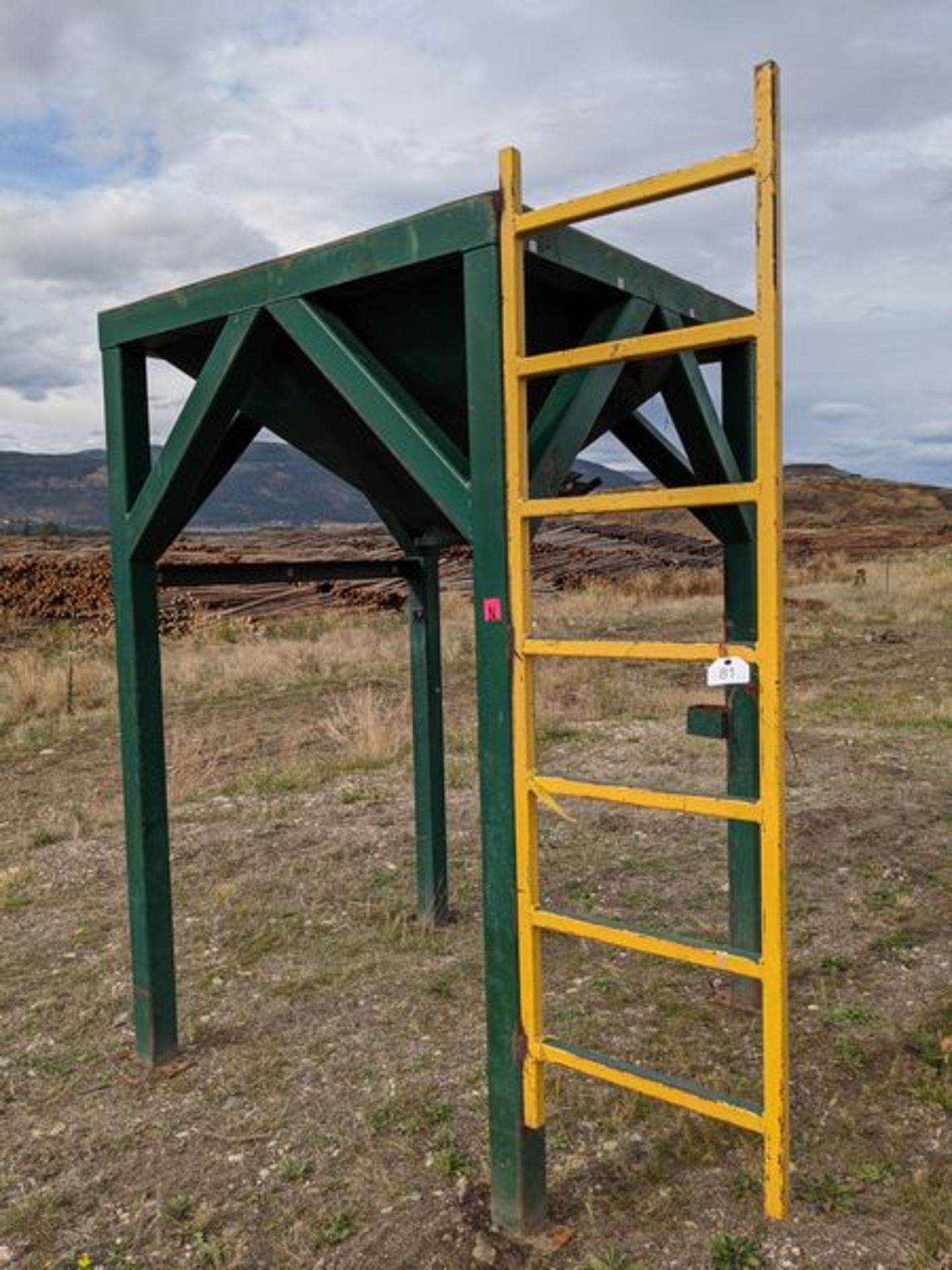 Sawdust Hopper with Ladder