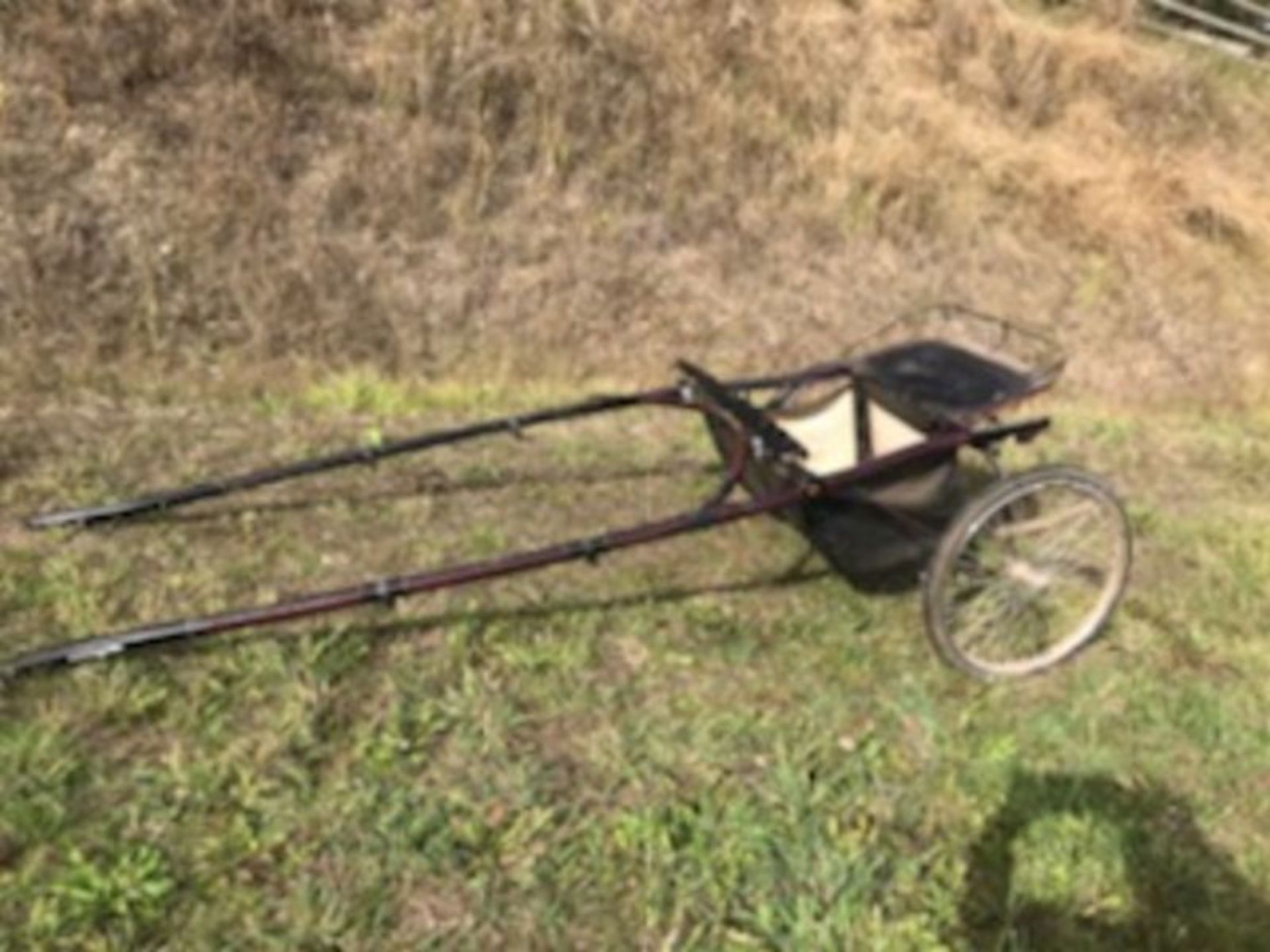 Black 2 Wheel Driving Cart