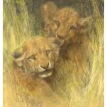 ARTHUR WARDLE RI RBC (1864-1949); pastel, study of two lion cubs, signed, 40 x 37.5cm, framed and
