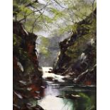 TERRY EVANS; impasto oil on canvas, river in woodland, signed lower right, 39.5 x 29.4cm, framed. (