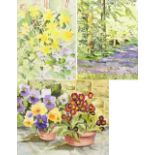 PHYLLIS GRUNDY; three watercolours on paper, depicting flowers, framed and glazed, (3).