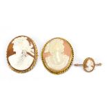 A 9ct gold mounted cameo brooch, 6 x 4.5cm, and two further cameo brooches (3).