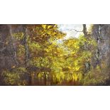 TERRY EVANS; impasto oil on canvas, stylised woodland lake, inscribed signature lower right, 34 x