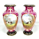 A pair of 19th century hand painted vases, each painted with oval portraits depicting game dogs
