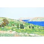 CHRISTINE M HOLMES; a gouache on paper 'Spring in Malta' signed, 30 x 55cm, framed and glazed. (D)