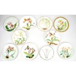 WITHDRAWN Ten assorted 19th century hand painted cabinet plates, each with floral designs, various