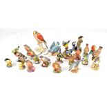 A collection of twenty three Royal Worcester matte glazed models of birds including bull finch,