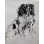 APRIL SHEPHERD; charcoal on paper, 'Loyal Companion VI', signed 'AS', 50.8 x 76.2cm, framed and