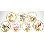 WITHDRAWN WILLIAM MUSSILL FOR MINTONS; seven cabinet plates, each painted with various floral scenes