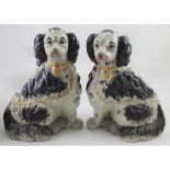 A pair of large Staffordshire-style King Charles spaniel fireside dogs in black and white,