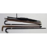 Four assorted walking sticks, each with hallmarked silver caps or ferrules,