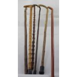 Six walking sticks including a walking cane (6).