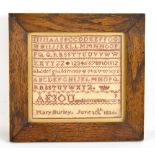 A William IV alphabet sampler by Mary Hurley, dated June 10th 1836, 14.5 x 15.5cm, framed and