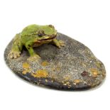 A cold painted bronze frog.Additional InformationLength 9cm, width 6cm.