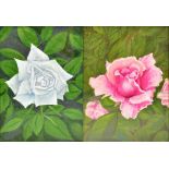 RODERICK THACKRAY; two oils on canvas, both floral studies, one signed lower left and both signed