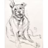 APRIL SHEPHERD; pencil on paper, ‘Dog Portrait III’, signed left, 76 x 50cm, framed and glazed. (