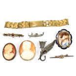 A small group of costume jewellery to include a cameo brooch of a Neoclassical figure mounted in