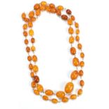 A graduated egg yolk/butterscotch coloured amber necklace, largest bead 2.2 x 1.5cm, smallest 1 x