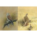 JOHN NAYLOR; two pastels on paper, 'Pheasant with Chicks 1995', and 'Bird with Chicks 1989', both