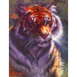 ROLF HARRIS (born 1930); a signed limited edition print, 'Tiger in the Sun', 24/195, signed lower