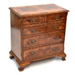 A reproduction burr walnut veneered chest of two short over three long drawers, raised on bracket