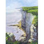 STEWART SKELTON; oil on board, 'Bempton Cliffs', signed lower left, label verso, 28.5 x 20.5cm,