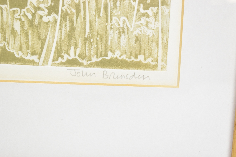 JOHN BRUNSDON (1933-2014); a signed limited edition coloured etching, 'Meadow Sweet', 68/100, 45 x - Image 7 of 11