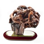 LISA CULLEY; a root ball mounted on an oval bevelled mirror base, signed with artist's plaque,