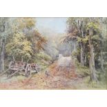 WOODHOUSE; a watercolour, pheasant on a woodland path,