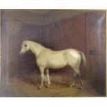 UNATTRIBUTED, oil on canvas, a mid 19th century painting, horse in stable, framed.