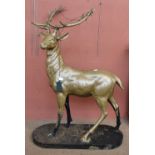 A gilt painted cast metal model of a stag, raised on oval black plinth base, height 160cm (af).