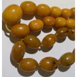 A vintage egg yolk/butterscotch coloured amber bead necklace, length approx 73cm, the largest bead