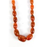 A graduated amber coloured beaded necklace, the largest bead 3cm, overall length approx 74cm.