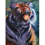 ROLF HARRIS (born 1930); a signed limited edition print, 'Tiger in the Sun', 34/195, signed lower