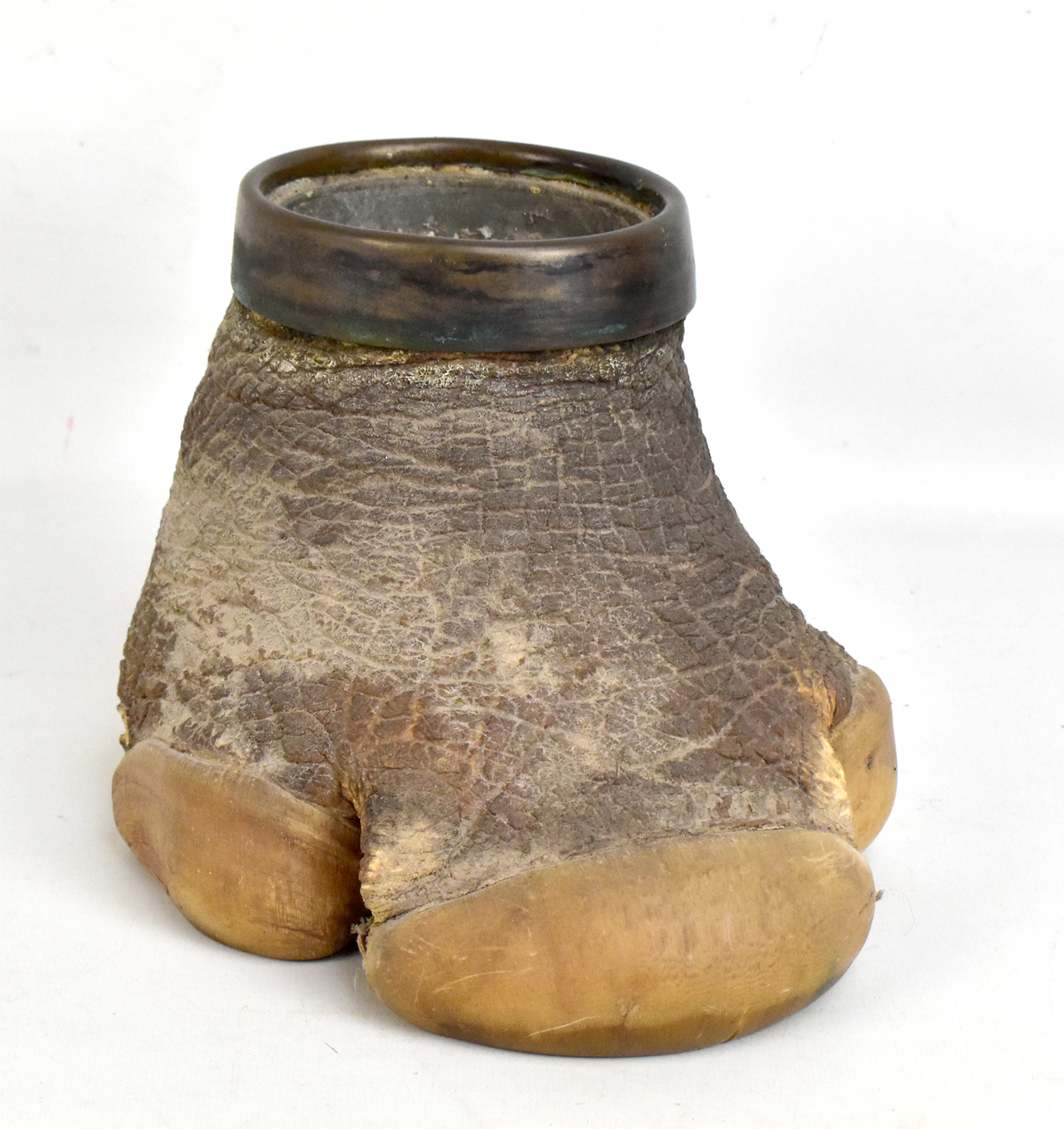 TAXIDERMY; a rhinoceros foot, with metal rim, height 17cm.