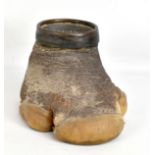 TAXIDERMY; a rhinoceros foot, with metal rim, height 17cm.