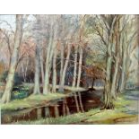 NORMAN COLEBOURNE; oil on board 'In Arrowe Park', forest pathway, signed lower right, label verso,