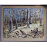 REUBEN WARD BINKS (1880-1950): watercolour depicting pheasants in woodland scene,