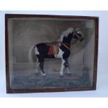 An early 20th century child's pull-along piebald horse, possibly made with calf skin,