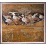 DARRELL CARTER (modern British); oil painting 'Seagulls' and brown background, backed on wood,