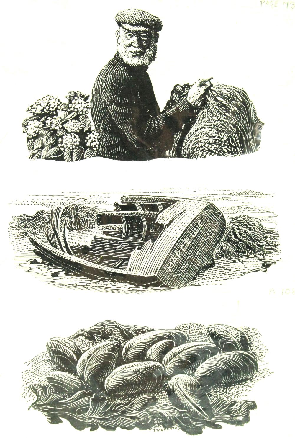 WITHDRAWN: Charles Frederick Tunnicliffe (1901-1979);