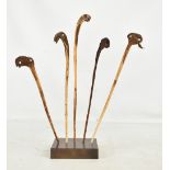 Five Papua New Guinea Iatmul cassowary bone lime spatulas, now mounted in a stand, height approx