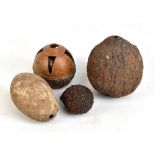 Two Brazil nuts, (one turned on a lathe), a bread fruit and a coconut (4).