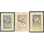 AFTER KOSON OHARA; three Japanese woodblock prints each featuring owl or monkey amongst branches,