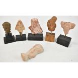 Four small Egyptian carved busts and fragments, also a Roman and a Buddhist example, height of