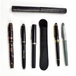 A collection of fountain and ballpoint pens to include a Parker, Triumph bakelite case example No.