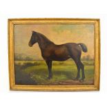 19TH CENTURY ENGLISH SCHOOL; oil on board, study of a brown horse in rural landscape, signed